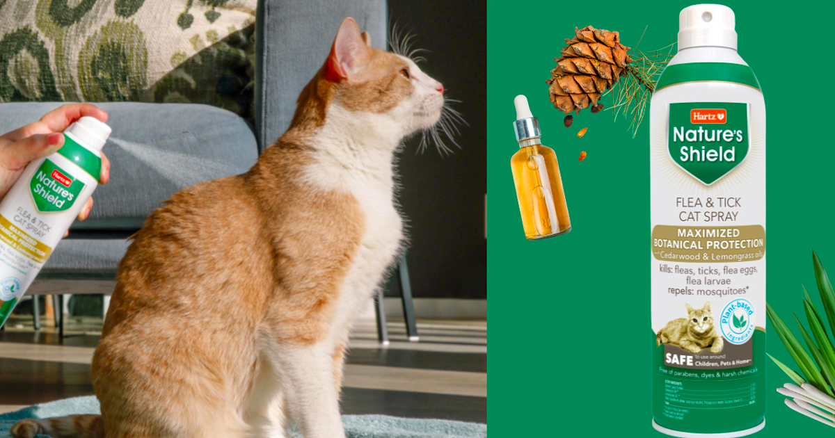 Apply For A FREE Nature's Shield Flea & Tick Cat Spray!