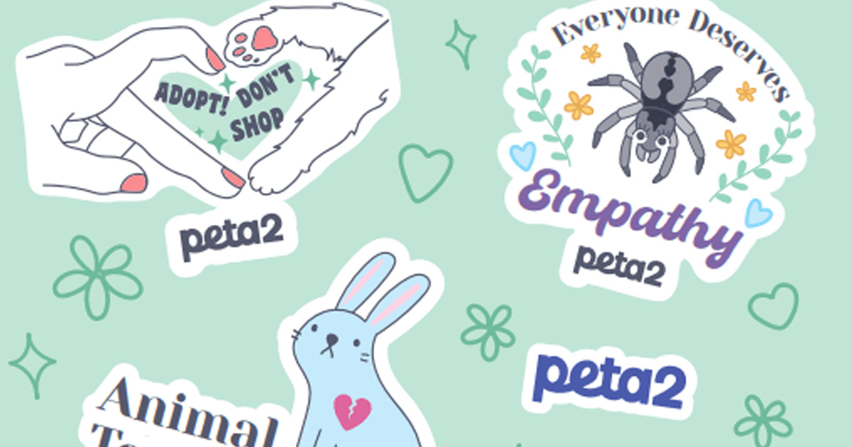 FREE Animal Rights Stickers!