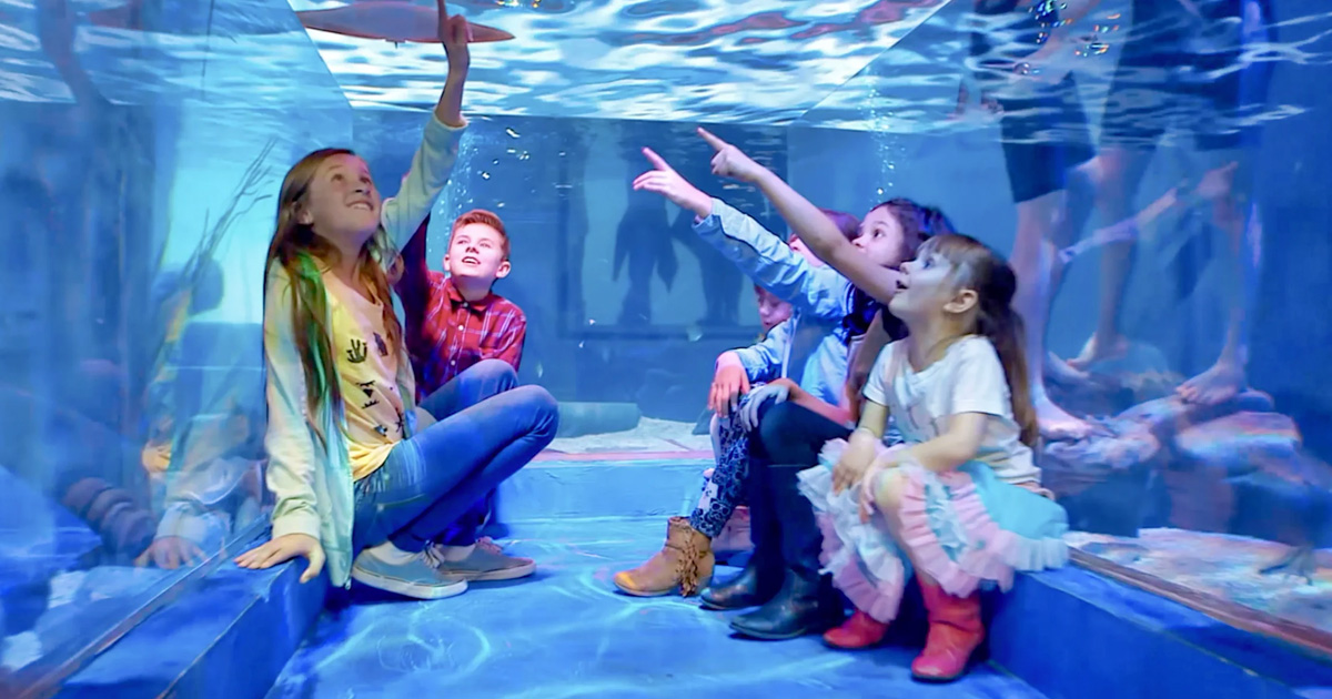 Up to 5 Free Tickets to SeaQuest Aquarium