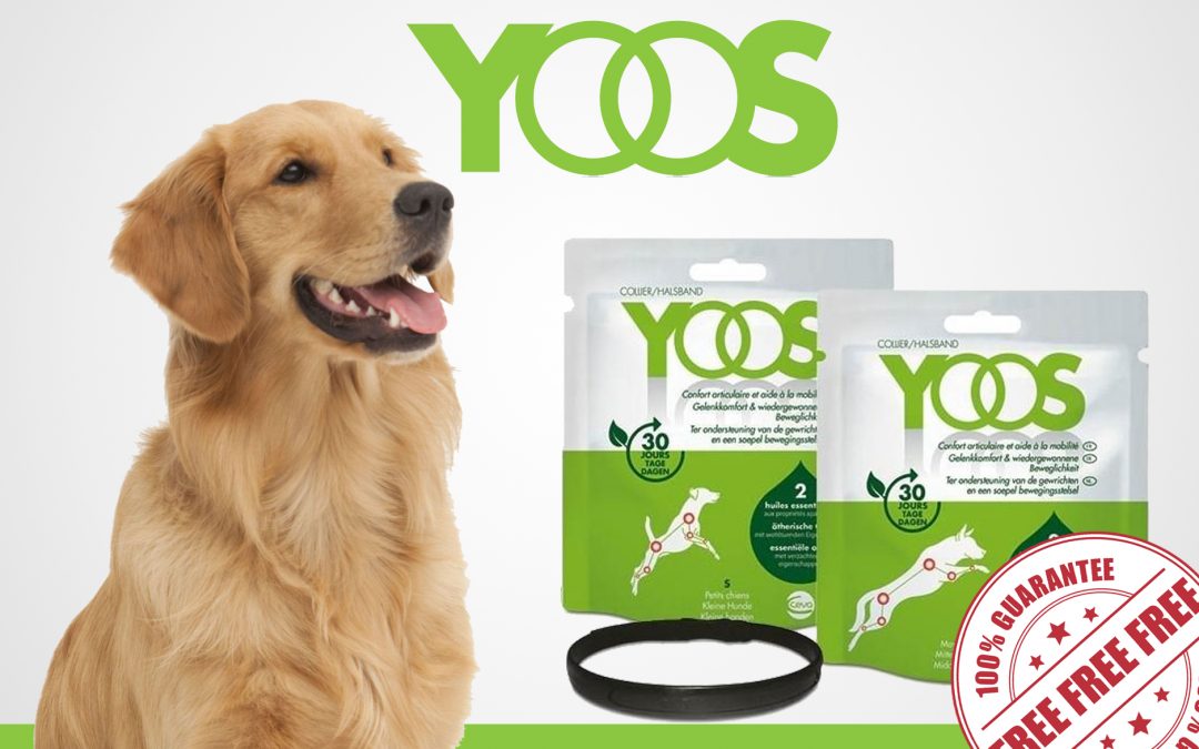 FREE COLLAR FROM YOOS